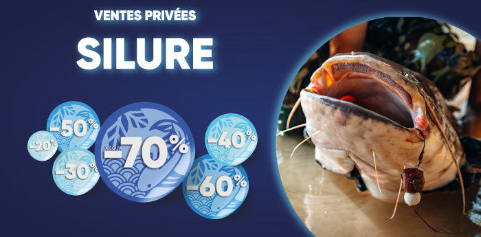 ventes privées silure 